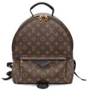 Louis Vuitton Palm Springs Backpack Monogram
